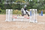 CLASS 3 Pony BritiNovice / 0.80m Open portfolio