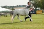 SBM_00544