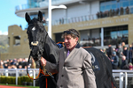 251025-Race 2-Minella Supreme-7216