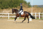 SBM_000646