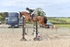 BPP_0747