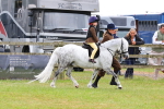 SBM_08252