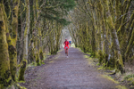 Kielder Ultra-1065