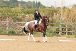 SBM_001909