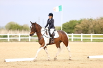 SBM_007341