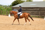 SBM_002299