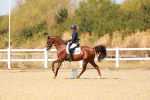 SBM_018337