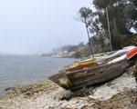 Misty Harbor