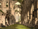 Tintern Abbey 19