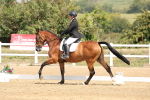 SBM_006188