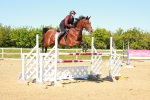SBM_001910