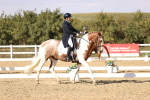 SBM_015447