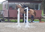 BPP_9658