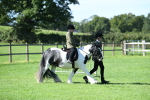 SBM_39570