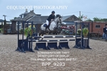 BPP_9293
