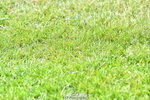 260630A-110415-05745