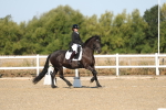 SBM_012645
