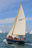 150627 BLUE DOLPHIN OF WIGHT WT7A0032_Edit