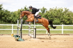 SBM_003429