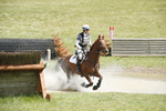 BVHT 140517  IXC -399