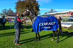 141023-Race 5-Certain Lad-9182