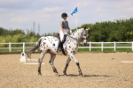 SBM_002040
