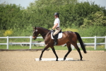 SBM_009529