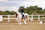 SBM_006586