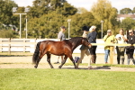 SBM_26143