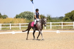 SBM_010354