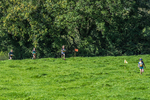 Loweswater Show-54