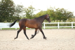 SBM_08526
