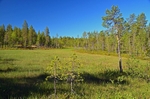 Pasvikdalen, Troms og Finnmark, Norway