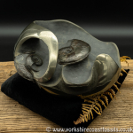 Sold cb232 polished pyrite Ammonite Sculpture