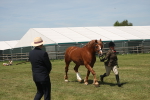 SBM_06984