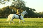SBM_56610