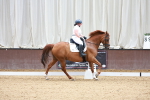 SBM_001015