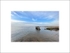 "Flooded" Stiffkey