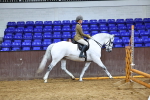 M&M Novice WHP Championship portfolio