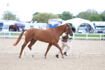 SBM_15354