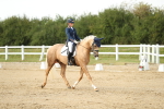 SBM_018510