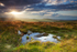 Haytor Down