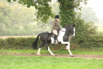 SBM_69799