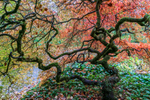 Batsford - 03