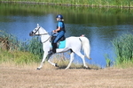 WJ7_6910