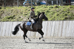 BVRC SJ 170319 398
