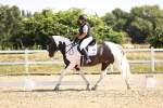 SBM_009235