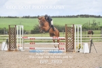 BPP_7893