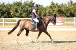 SBM_007565