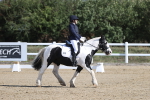 SBM_001234